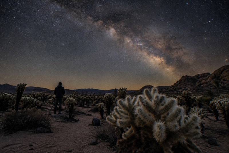 The Milky Way over silhouetted Joshua trees and boulders in the Mojave Desert at night